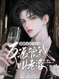 《我把反派当大哥,反派管我叫老婆》